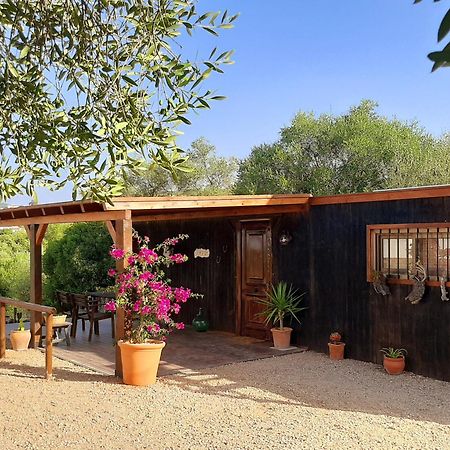 Preciosa Casa De Madera, Andalucia Villa Prado Del Rey Exteriör bild